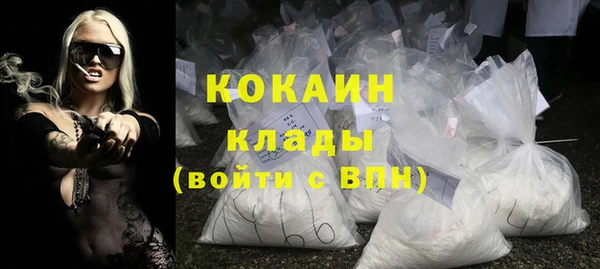 индика Чекалин