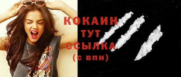 тгк Новодвинск