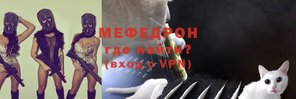 мдпв Анива