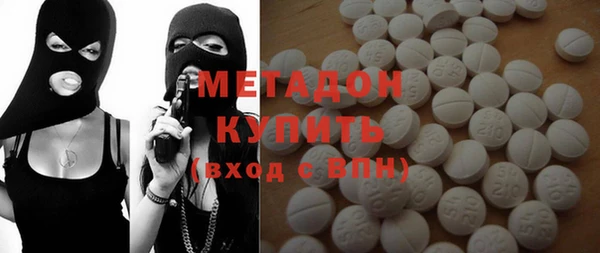 прущие грибы Апатиты