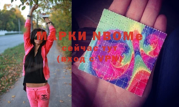 тгк Новодвинск