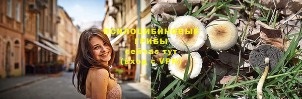 тгк Новодвинск