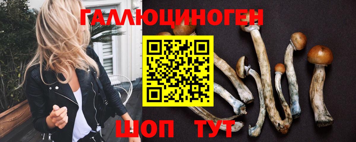 Псилоцибиновые грибы Magic Shrooms  Горячий Ключ  Псилоцибиновые грибы ЛСД 