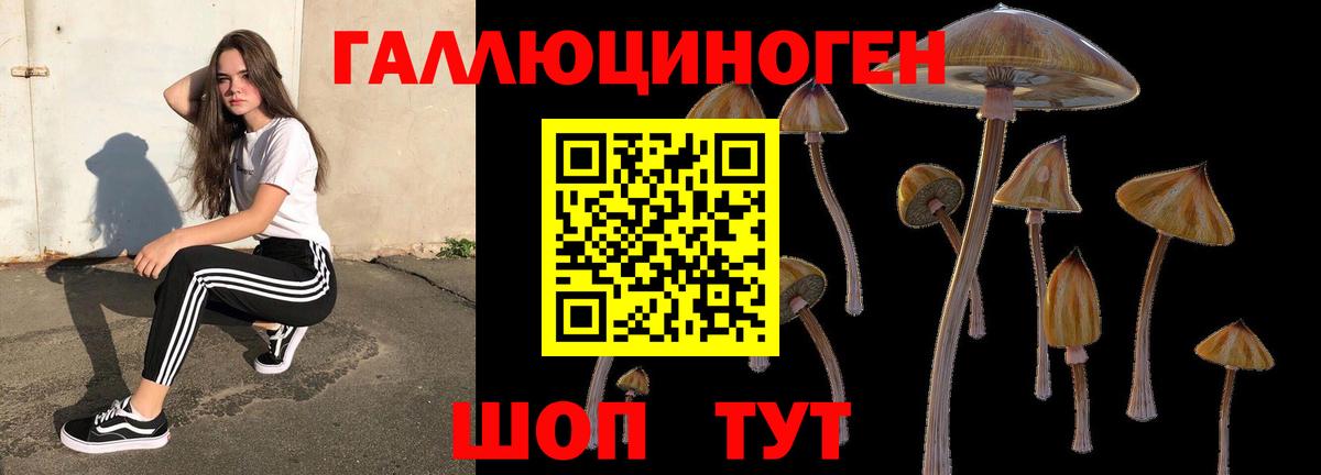 Псилоцибиновые грибы мухоморы  Галлюциногенные грибы Psilocybine cubensis  где продают   Горячий Ключ  Вход с VPN 